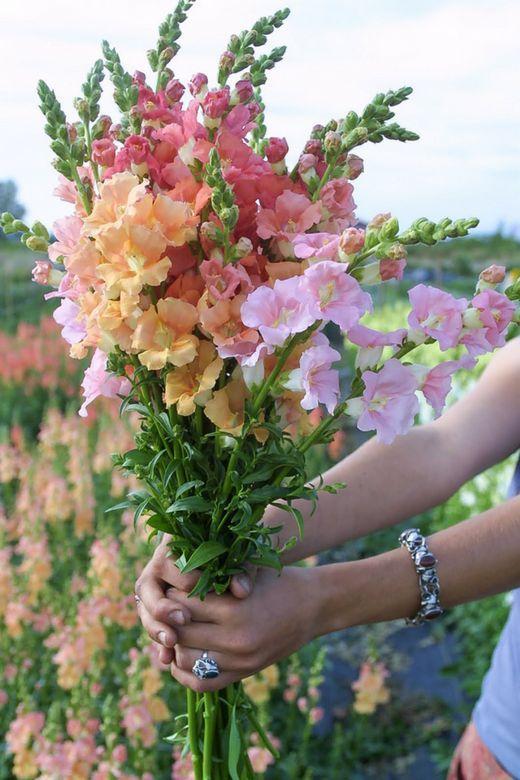 Quiet Paper Frame workshop space where corporate flower arrangements are designed and prepared for business delivery